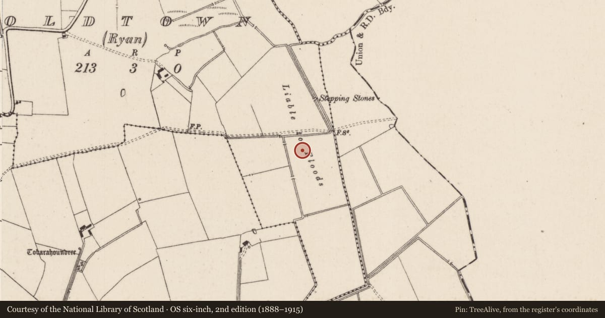 Ordnance Survey six-inch map, 2nd edition (1888–1915) covering the location of Barrow - ring-barrow, Oldtown (Ryan), County Limerick, with a pin at the register's coordinates
