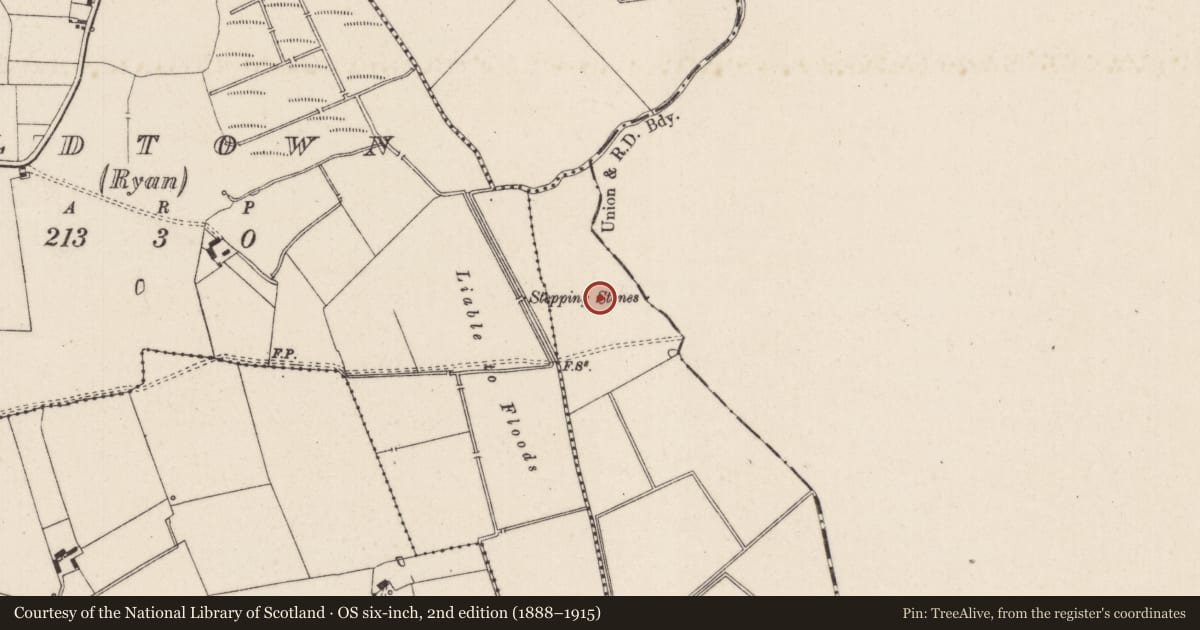 Ordnance Survey six-inch map, 2nd edition (1888–1915) covering the location of Barrow - ditch barrow, Oldtown (Bennett), County Limerick, with a pin at the register's coordinates