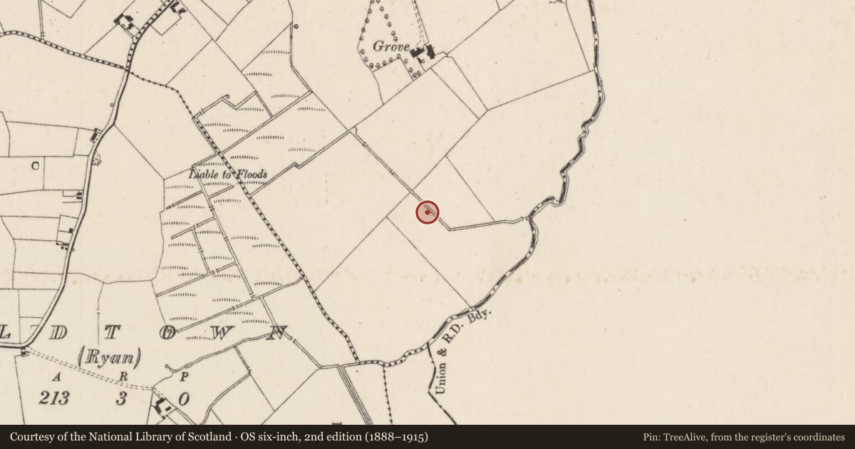 Ordnance Survey six-inch map, 2nd edition (1888–1915) covering the location of Enclosure, Garryncahera, County Limerick, with a pin at the register's coordinates