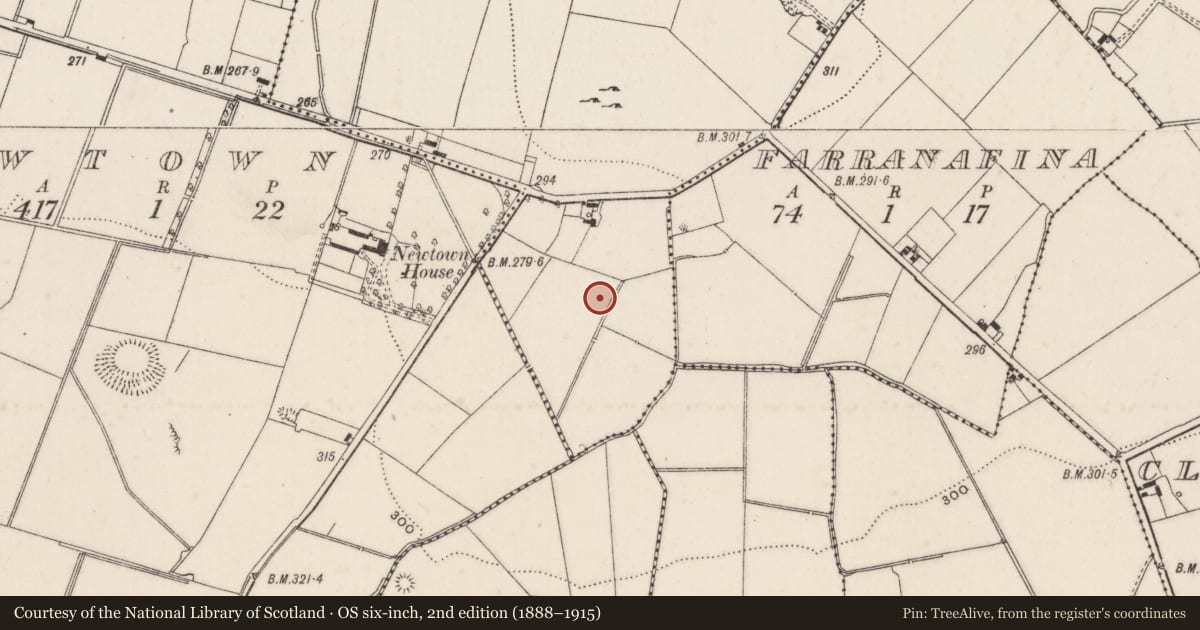 Ordnance Survey six-inch map, 2nd edition (1888–1915) covering the location of Barrow - ring-barrow, Newtown North, County Limerick, with a pin at the register's coordinates