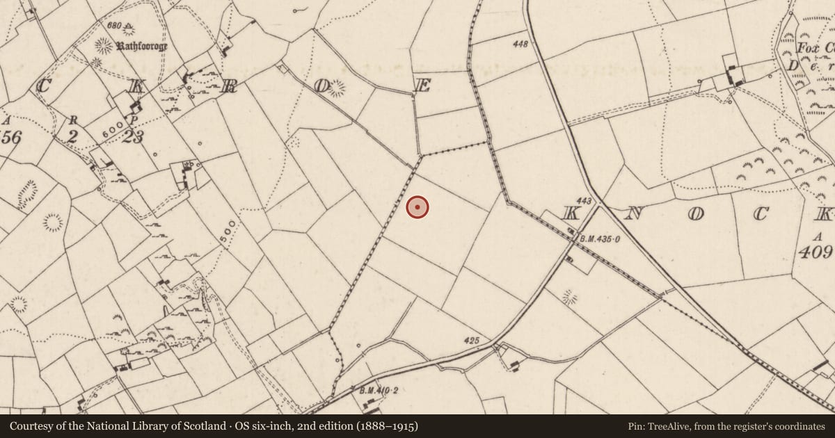 Ordnance Survey six-inch map, 2nd edition (1888–1915) covering the location of Enclosure, Ballynagreanagh, County Limerick, with a pin at the register's coordinates