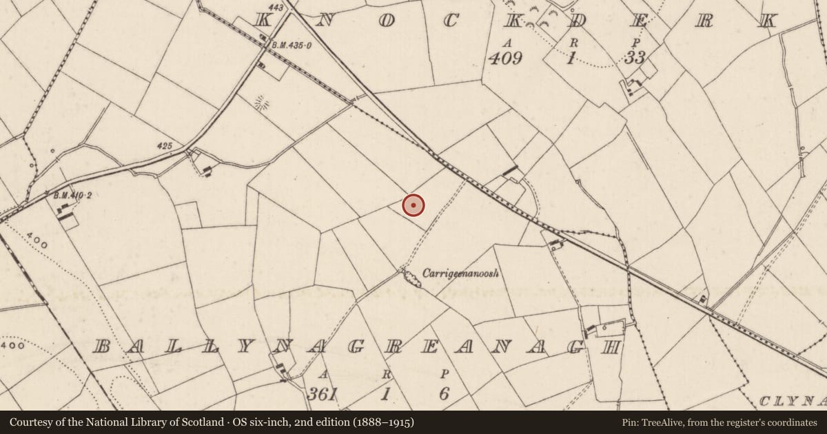 Ordnance Survey six-inch map, 2nd edition (1888–1915) covering the location of Barrow - unclassified, Ballynagreanagh, County Limerick, with a pin at the register's coordinates