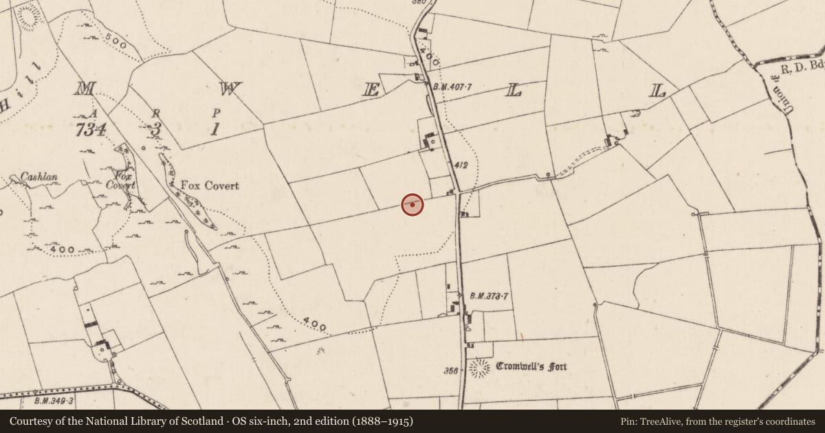 Ordnance Survey six-inch map, 2nd edition (1888–1915) covering the location of Earthwork, Cromwell, County Limerick, with a pin at the register's coordinates