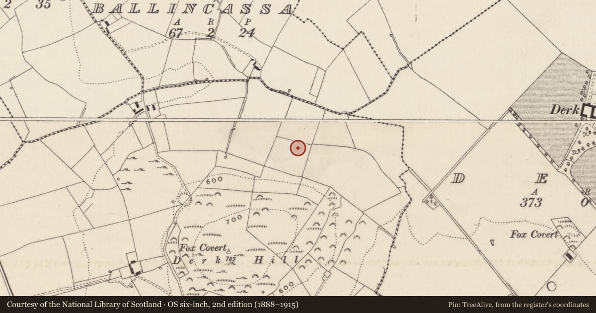 Ordnance Survey six-inch map, 2nd edition (1888–1915) covering the location of Barrow - ditch barrow, Knockderk, County Limerick, with a pin at the register's coordinates