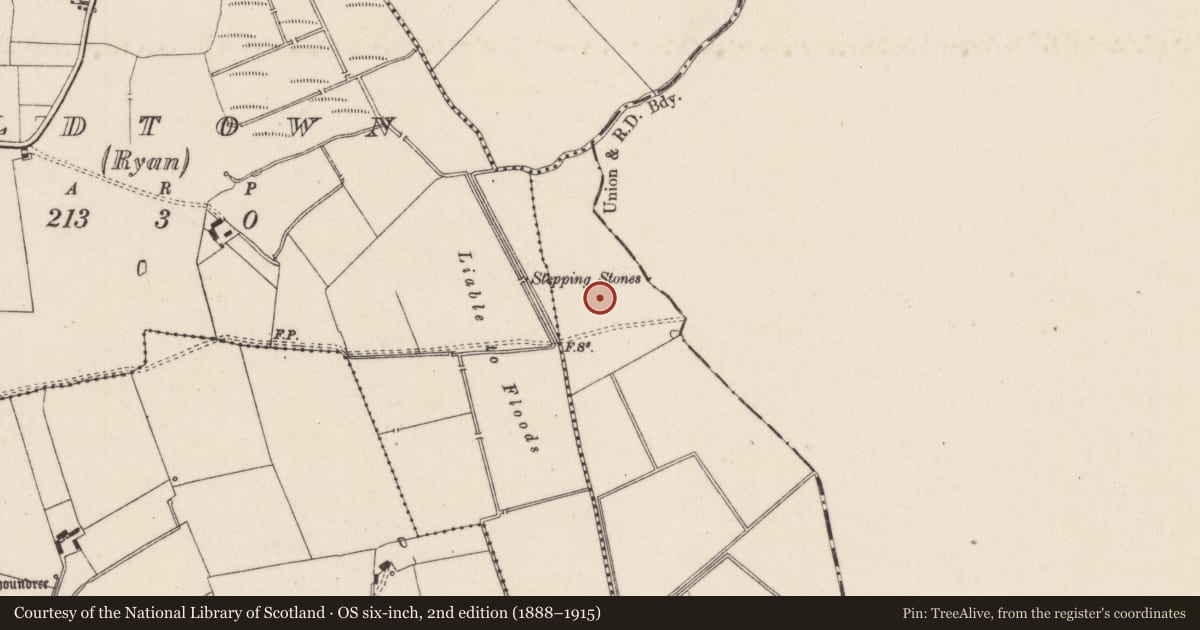 Ordnance Survey six-inch map, 2nd edition (1888–1915) covering the location of Barrow - ditch barrow, Oldtown (Bennett), County Limerick, with a pin at the register's coordinates