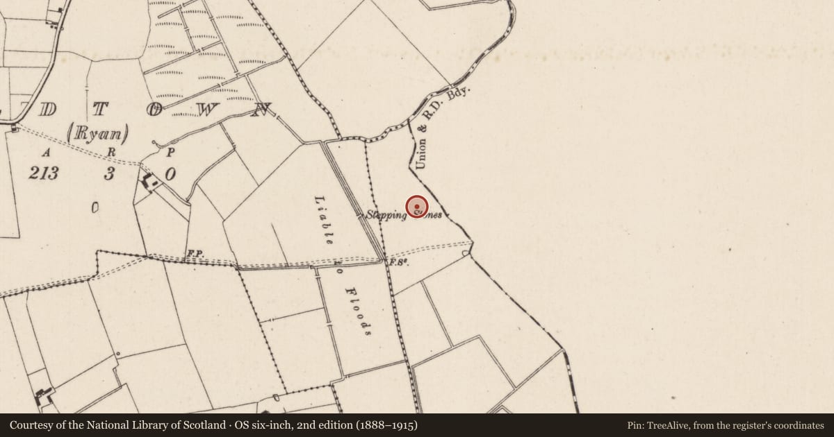 Ordnance Survey six-inch map, 2nd edition (1888–1915) covering the location of Barrow - ditch barrow, Oldtown (Bennett), County Limerick, with a pin at the register's coordinates