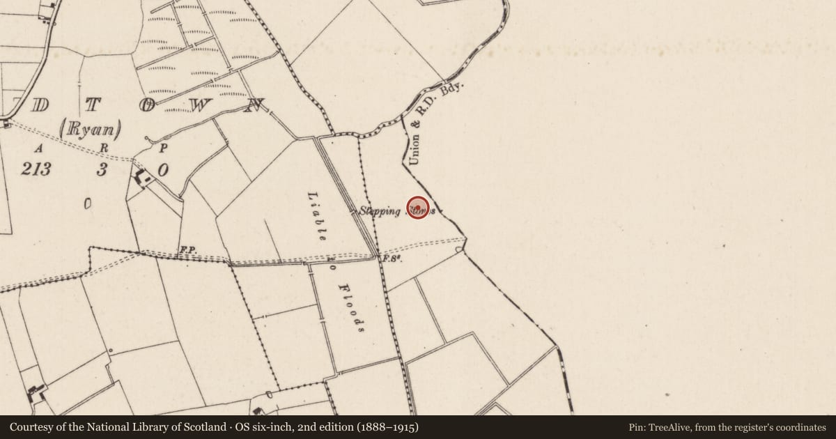 Ordnance Survey six-inch map, 2nd edition (1888–1915) covering the location of Barrow - ditch barrow, Oldtown (Bennett), County Limerick, with a pin at the register's coordinates