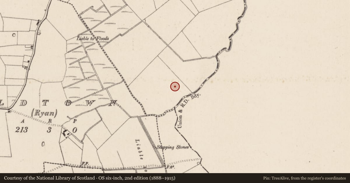 Ordnance Survey six-inch map, 2nd edition (1888–1915) covering the location of Barrow - ditch barrow, Garryncahera, County Limerick, with a pin at the register's coordinates