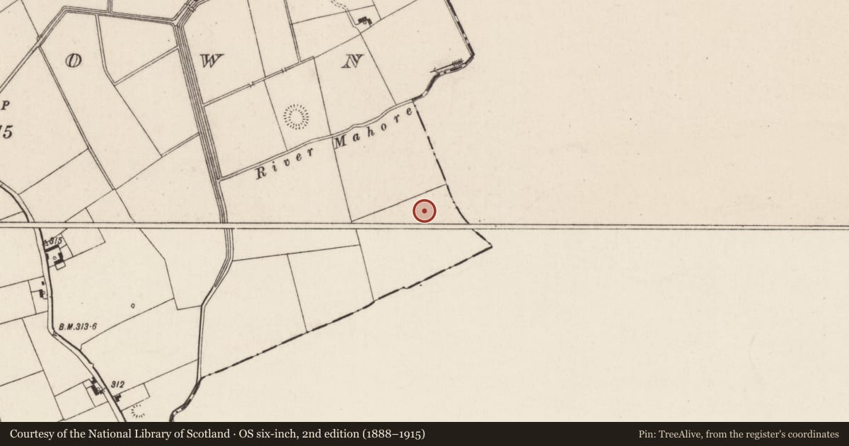 Ordnance Survey six-inch map, 2nd edition (1888–1915) covering the location of Barrow - ditch barrow, Oldtown (Bennett), County Limerick, with a pin at the register's coordinates