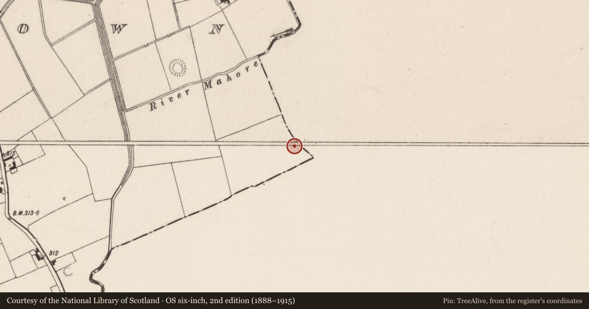 Ordnance Survey six-inch map, 2nd edition (1888–1915) covering the location of Barrow - ditch barrow, Oldtown (Bennett), County Limerick, with a pin at the register's coordinates