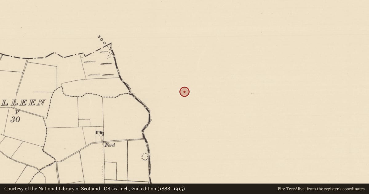 Ordnance Survey six-inch map, 2nd edition (1888–1915) covering the location of Field system, Ballylahiff, County Limerick, with a pin at the register's coordinates