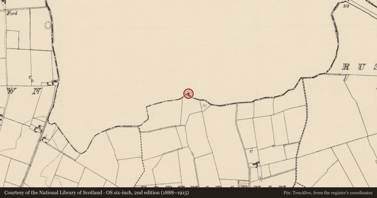 Ordnance Survey six-inch map, 2nd edition (1888–1915) covering the location of Ritual site - holy well, Ballylahiff, County Limerick, with a pin at the register's coordinates