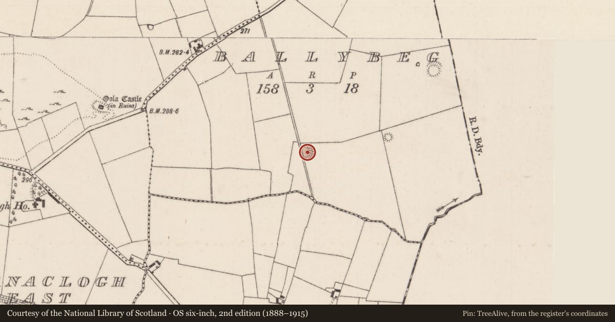 Ordnance Survey six-inch map, 2nd edition (1888–1915) covering the location of Earthwork, Ballybeg, County Limerick, with a pin at the register's coordinates