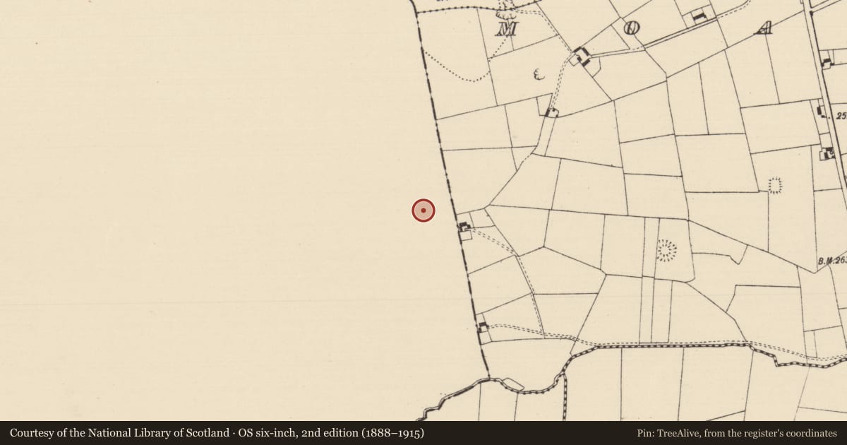 Ordnance Survey six-inch map, 2nd edition (1888–1915) covering the location of Earthwork, Ballybeg, County Limerick, with a pin at the register's coordinates
