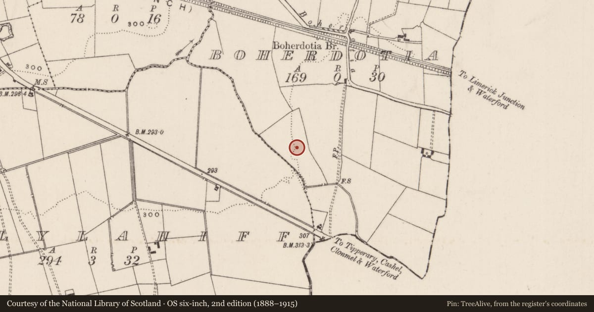 Ordnance Survey six-inch map, 2nd edition (1888–1915) covering the location of Barrow - ring-barrow, Boherdotia, County Limerick, with a pin at the register's coordinates