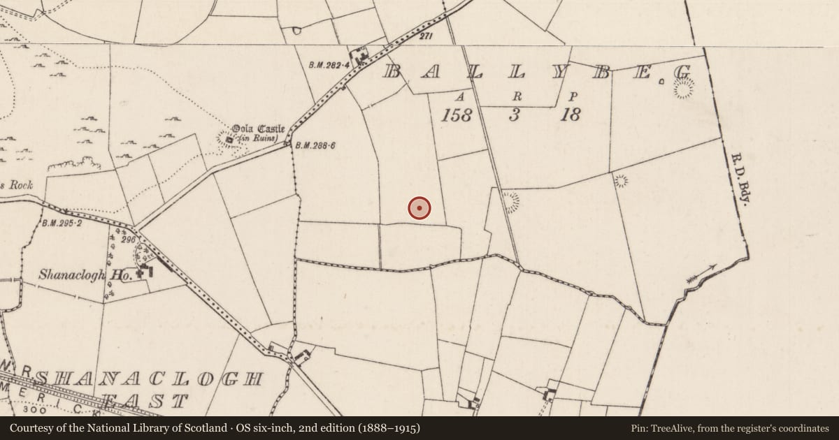 Ordnance Survey six-inch map, 2nd edition (1888–1915) covering the location of Barrow - ditch barrow, Ballybeg, County Limerick, with a pin at the register's coordinates