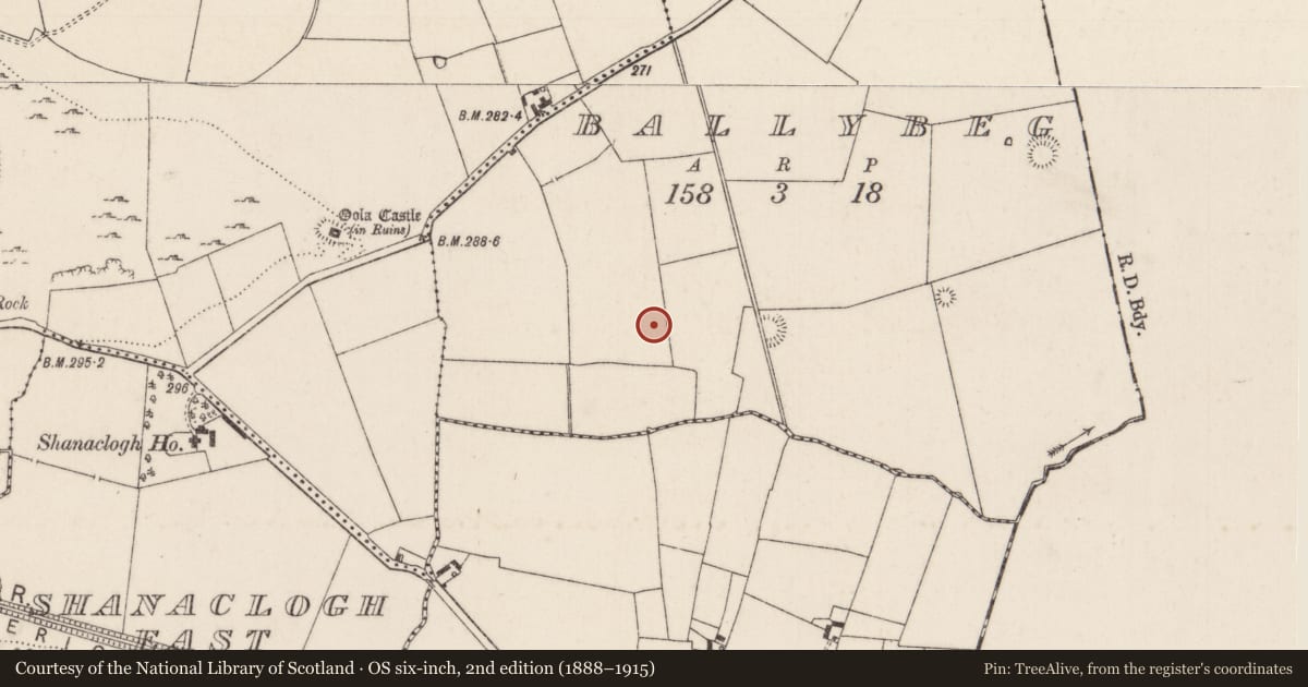 Ordnance Survey six-inch map, 2nd edition (1888–1915) covering the location of Earthwork, Ballybeg, County Limerick, with a pin at the register's coordinates