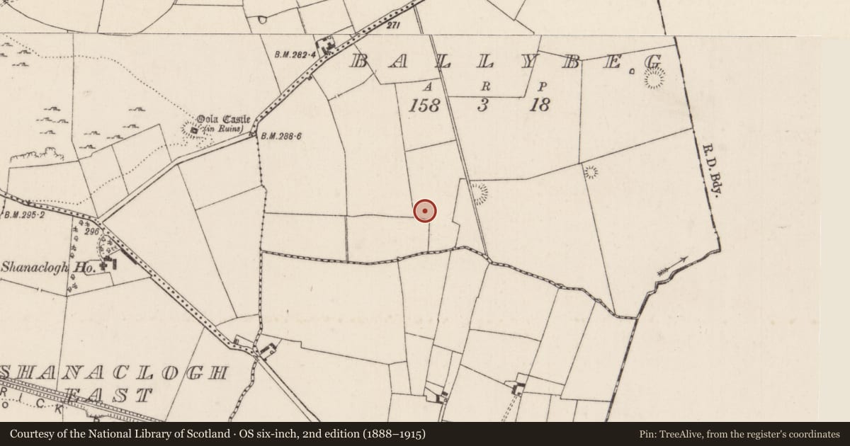 Ordnance Survey six-inch map, 2nd edition (1888–1915) covering the location of Barrow - ditch barrow, Ballybeg, County Limerick, with a pin at the register's coordinates