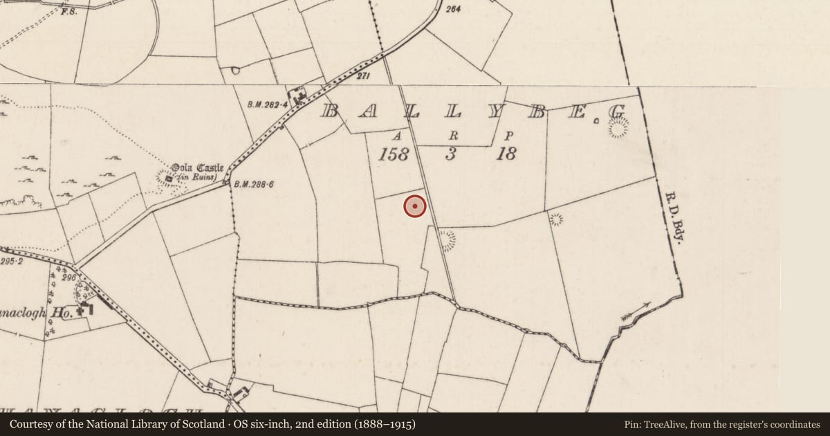 Ordnance Survey six-inch map, 2nd edition (1888–1915) covering the location of Barrow - ditch barrow, Ballybeg, County Limerick, with a pin at the register's coordinates