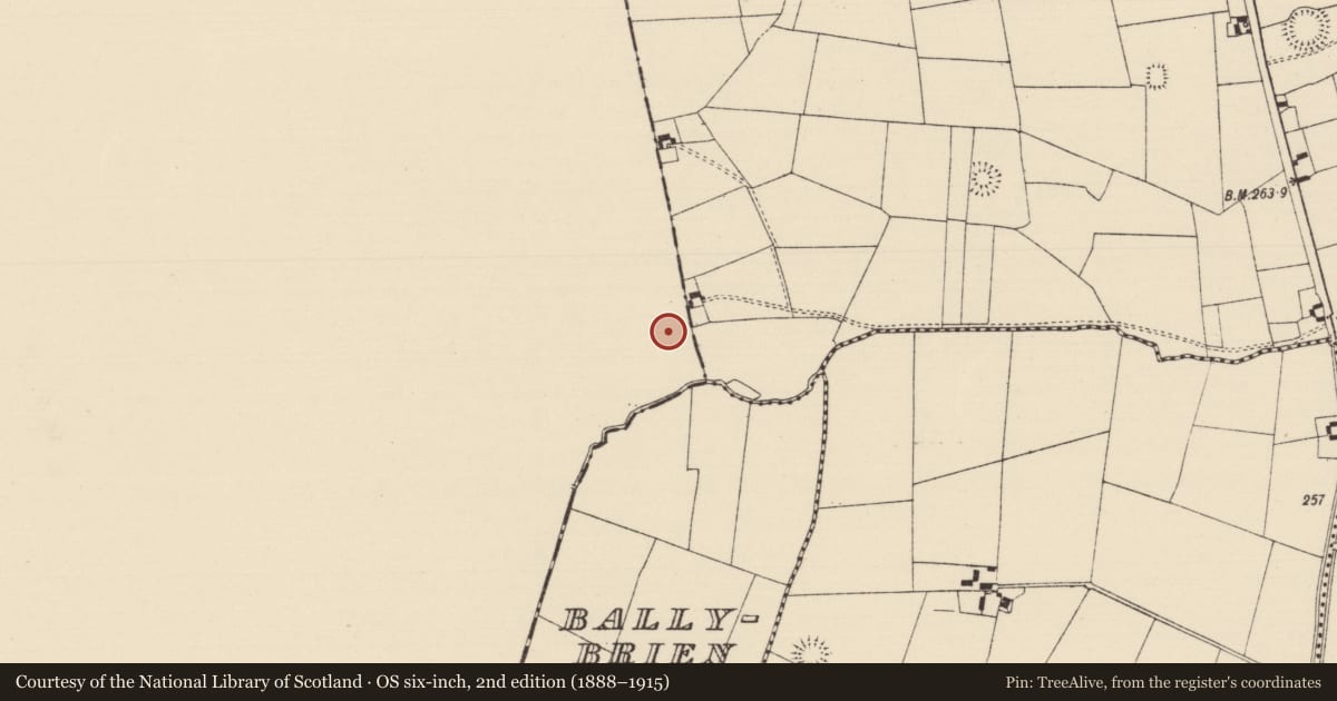 Ordnance Survey six-inch map, 2nd edition (1888–1915) covering the location of Earthwork, Ballybeg, County Limerick, with a pin at the register's coordinates