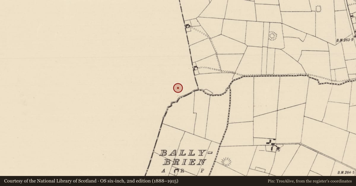 Ordnance Survey six-inch map, 2nd edition (1888–1915) covering the location of Barrow - ditch barrow, Ballybeg, County Limerick, with a pin at the register's coordinates
