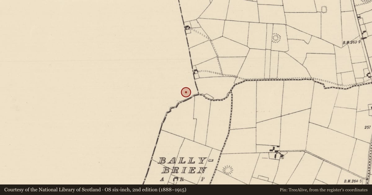 Ordnance Survey six-inch map, 2nd edition (1888–1915) covering the location of Barrow - ditch barrow, Ballybeg, County Limerick, with a pin at the register's coordinates