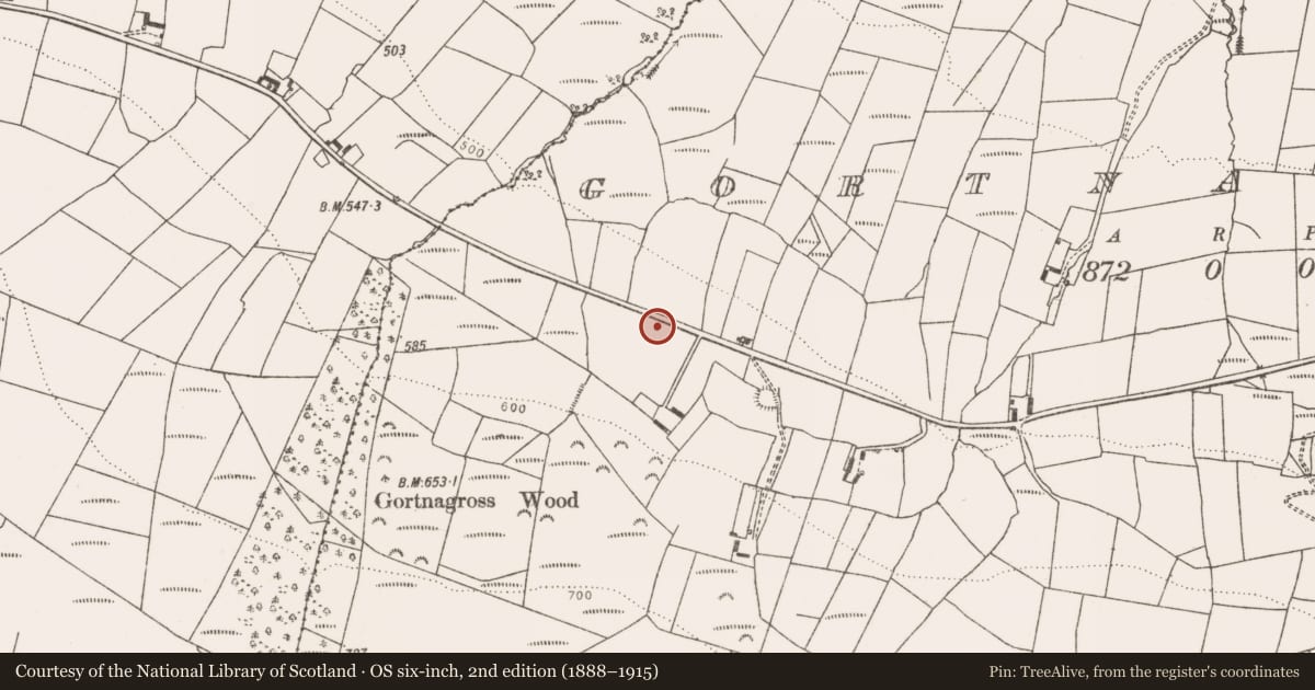 Ordnance Survey six-inch map, 2nd edition (1888–1915) covering the location of Ritual site - holy well, Gortnagross, County Limerick, with a pin at the register's coordinates