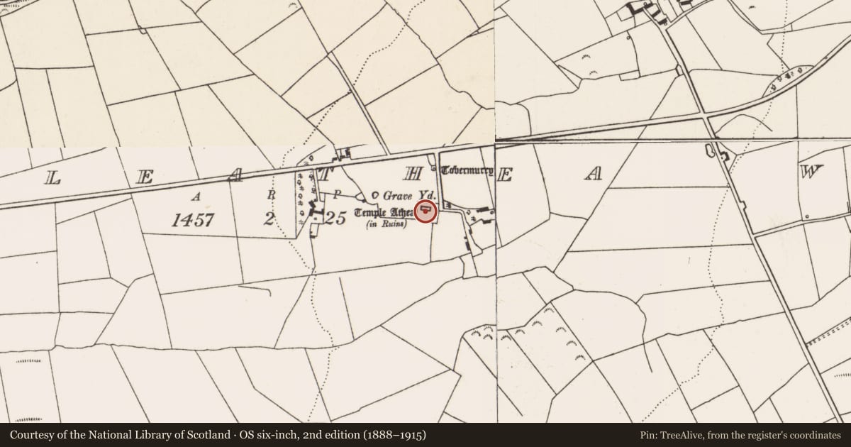 Ordnance Survey six-inch map, 2nd edition (1888–1915) covering the location of Church, Templeathea West, County Limerick, with a pin at the register's coordinates