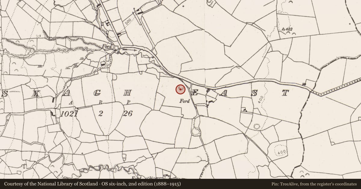 Ordnance Survey six-inch map, 2nd edition (1888–1915) covering the location of Ringfort - rath, Rooskagh East, County Limerick, with a pin at the register's coordinates