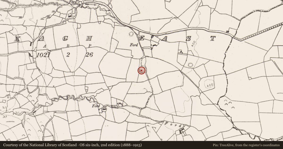 Ordnance Survey six-inch map, 2nd edition (1888–1915) covering the location of Ringfort - rath, Rooskagh East, County Limerick, with a pin at the register's coordinates
