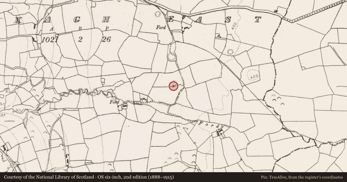 Ordnance Survey six-inch map, 2nd edition (1888–1915) covering the location of Ringfort - rath, Rooskagh East, County Limerick, with a pin at the register's coordinates