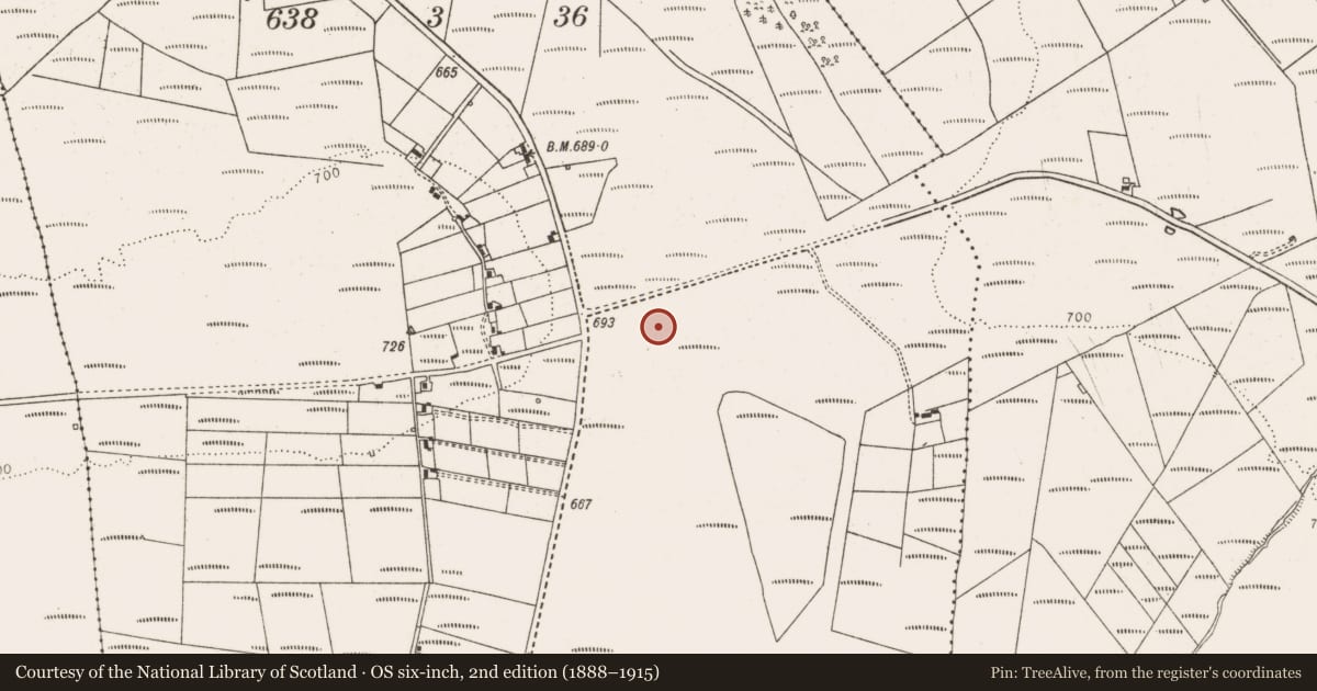 Ordnance Survey six-inch map, 2nd edition (1888–1915) covering the location of Causeway, Cool West, County Limerick, with a pin at the register's coordinates