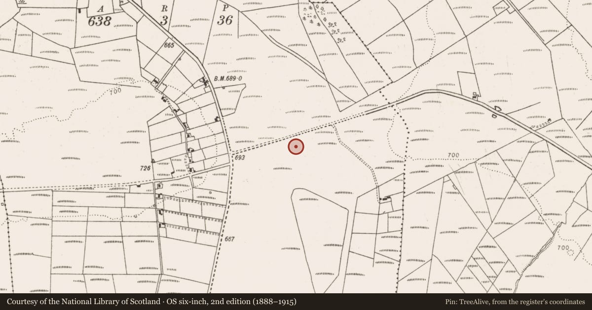Ordnance Survey six-inch map, 2nd edition (1888–1915) covering the location of Causeway, Cool West, County Limerick, with a pin at the register's coordinates