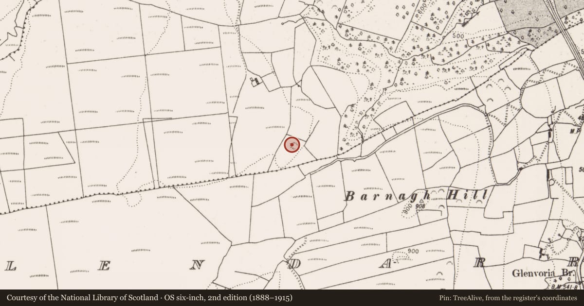 Ordnance Survey six-inch map, 2nd edition (1888–1915) covering the location of Enclosure, Garryduff, County Limerick, with a pin at the register's coordinates