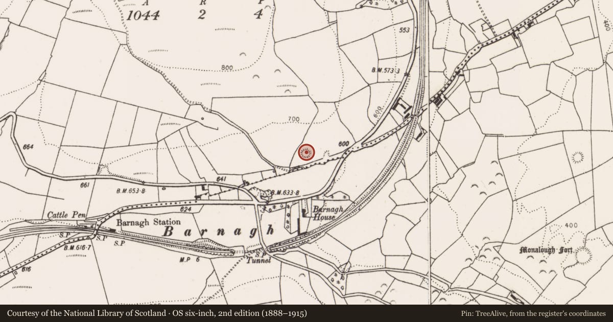 Ordnance Survey six-inch map, 2nd edition (1888–1915) covering the location of Ringfort - rath, Glendarragh, County Limerick, with a pin at the register's coordinates