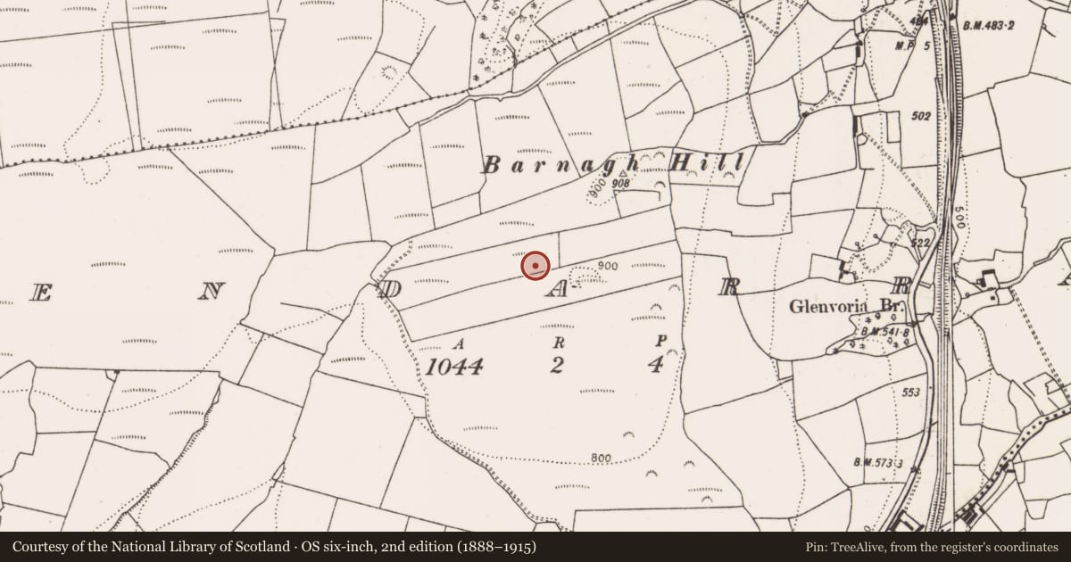 Ordnance Survey six-inch map, 2nd edition (1888–1915) covering the location of Enclosure, Glendarragh, County Limerick, with a pin at the register's coordinates