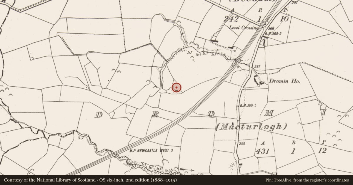 Ordnance Survey six-inch map, 2nd edition (1888–1915) covering the location of Ringfort - rath, Dromin (Macturlough), County Limerick, with a pin at the register's coordinates
