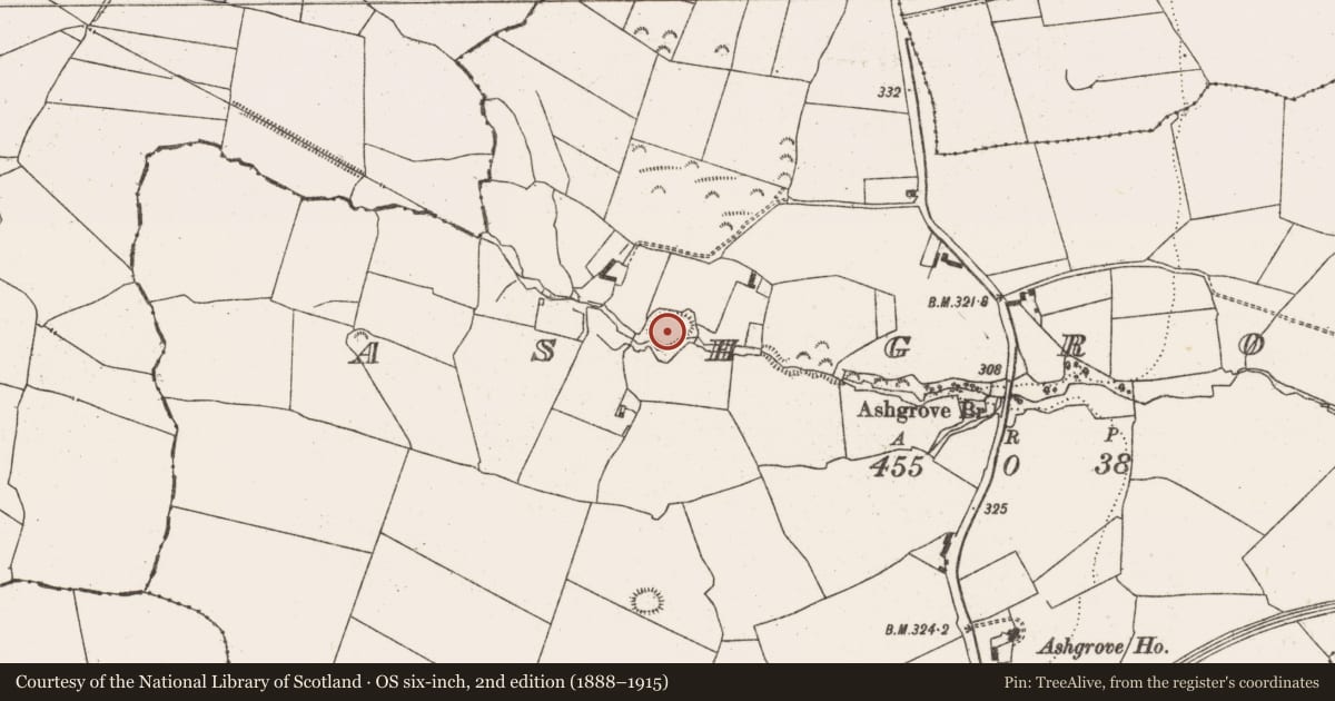 Ordnance Survey six-inch map, 2nd edition (1888–1915) covering the location of Ringfort - rath, Ashgrove, County Limerick, with a pin at the register's coordinates