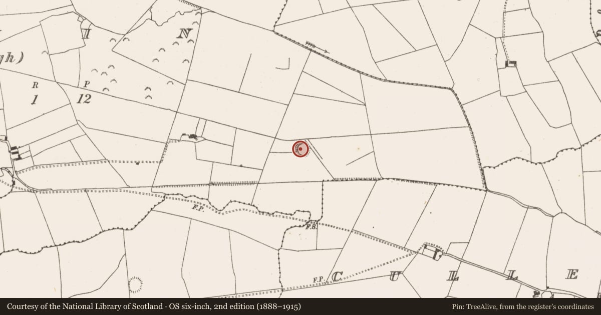 Ordnance Survey six-inch map, 2nd edition (1888–1915) covering the location of Ringfort - rath, Dromin (Macturlough), County Limerick, with a pin at the register's coordinates