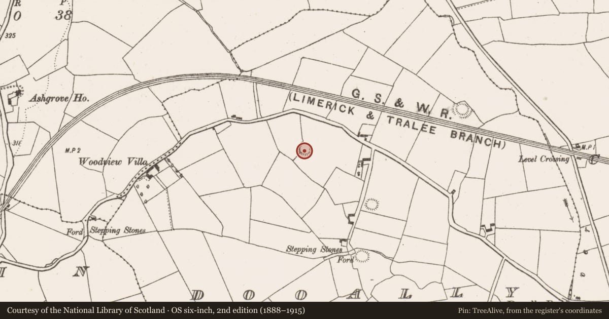 Ordnance Survey six-inch map, 2nd edition (1888–1915) covering the location of Ringfort - rath, Dooally, County Limerick, with a pin at the register's coordinates