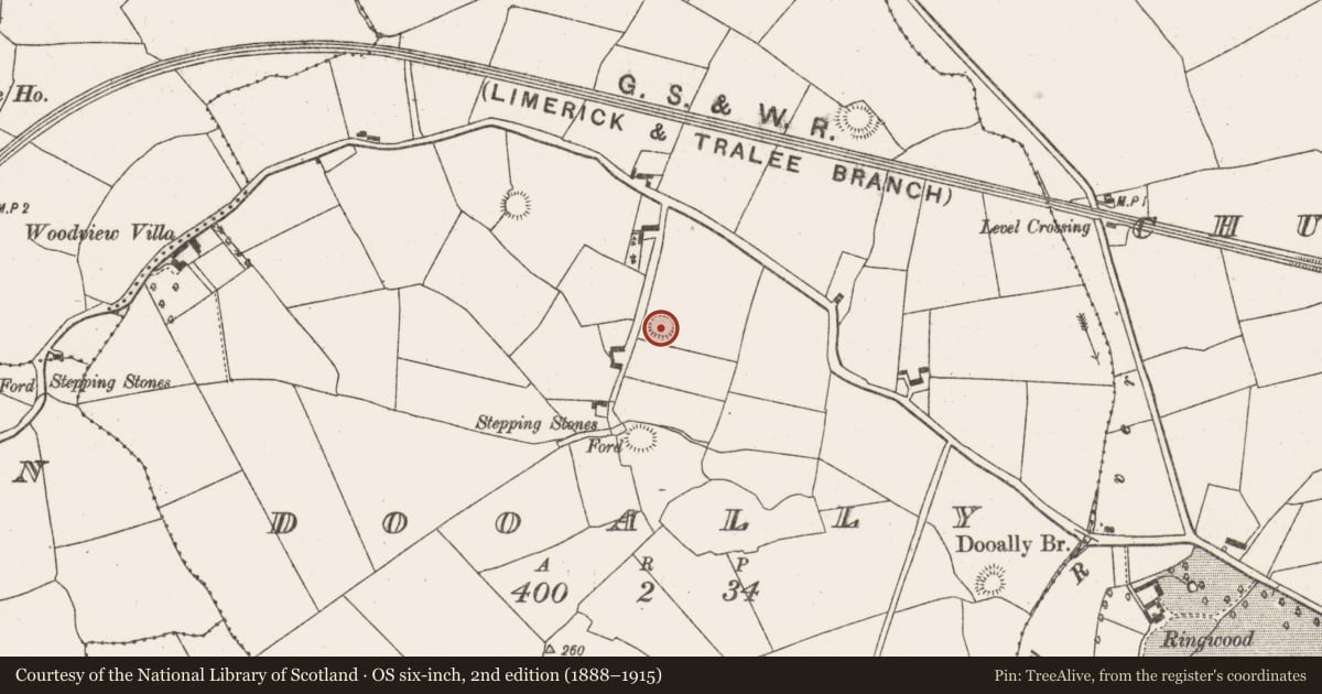 Ordnance Survey six-inch map, 2nd edition (1888–1915) covering the location of Ringfort - rath, Dooally, County Limerick, with a pin at the register's coordinates