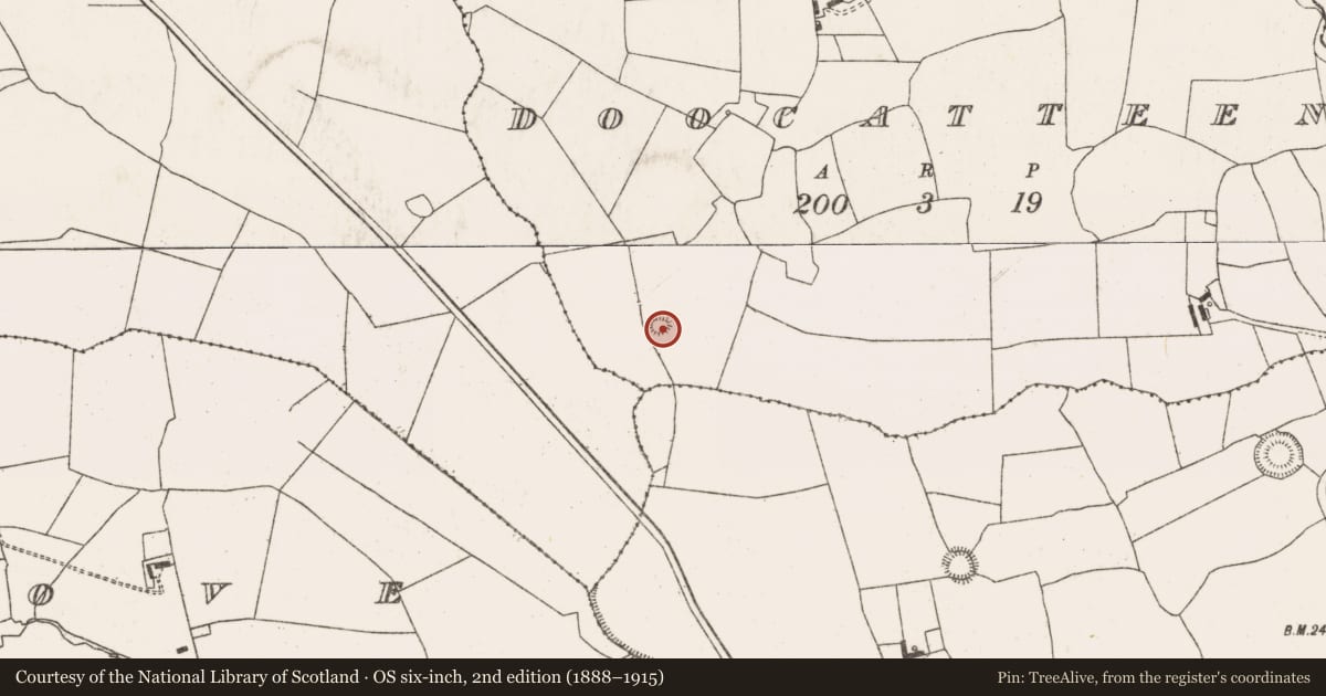 Ordnance Survey six-inch map, 2nd edition (1888–1915) covering the location of Ringfort - rath, Doocatteen, County Limerick, with a pin at the register's coordinates