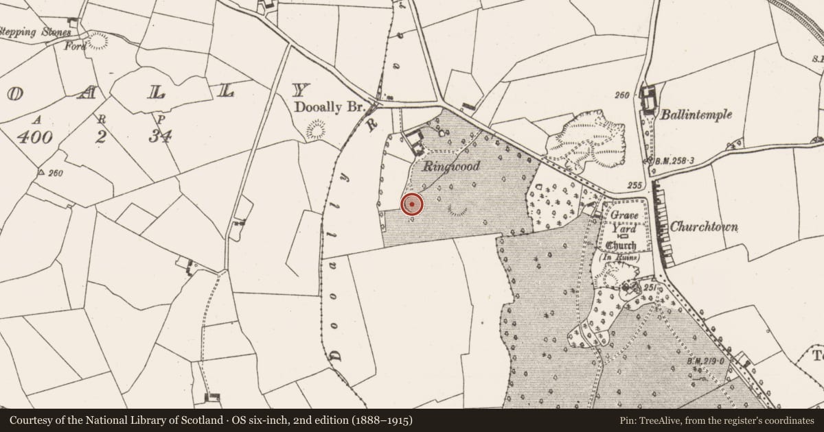 Ordnance Survey six-inch map, 2nd edition (1888–1915) covering the location of Ringfort - rath, Churchtown, County Limerick, with a pin at the register's coordinates