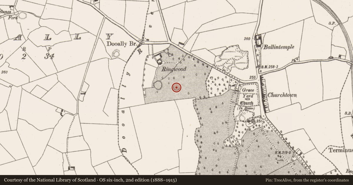 Ordnance Survey six-inch map, 2nd edition (1888–1915) covering the location of Ringfort - rath, Churchtown, County Limerick, with a pin at the register's coordinates