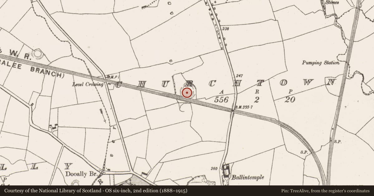 Ordnance Survey six-inch map, 2nd edition (1888–1915) covering the location of Ringfort - rath, Churchtown, County Limerick, with a pin at the register's coordinates