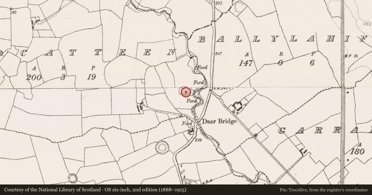 Ordnance Survey six-inch map, 2nd edition (1888–1915) covering the location of Ringfort - rath, Doocatteen, County Limerick, with a pin at the register's coordinates