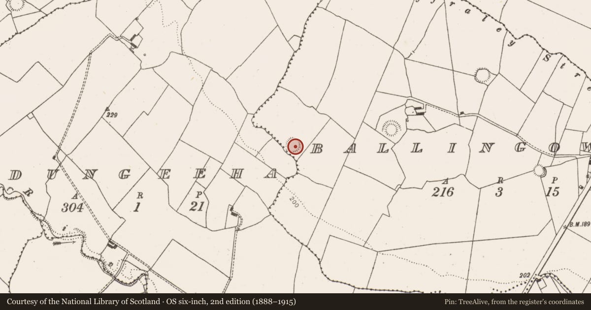 Ordnance Survey six-inch map, 2nd edition (1888–1915) covering the location of Ringfort - rath, Ballingowan, County Limerick, with a pin at the register's coordinates