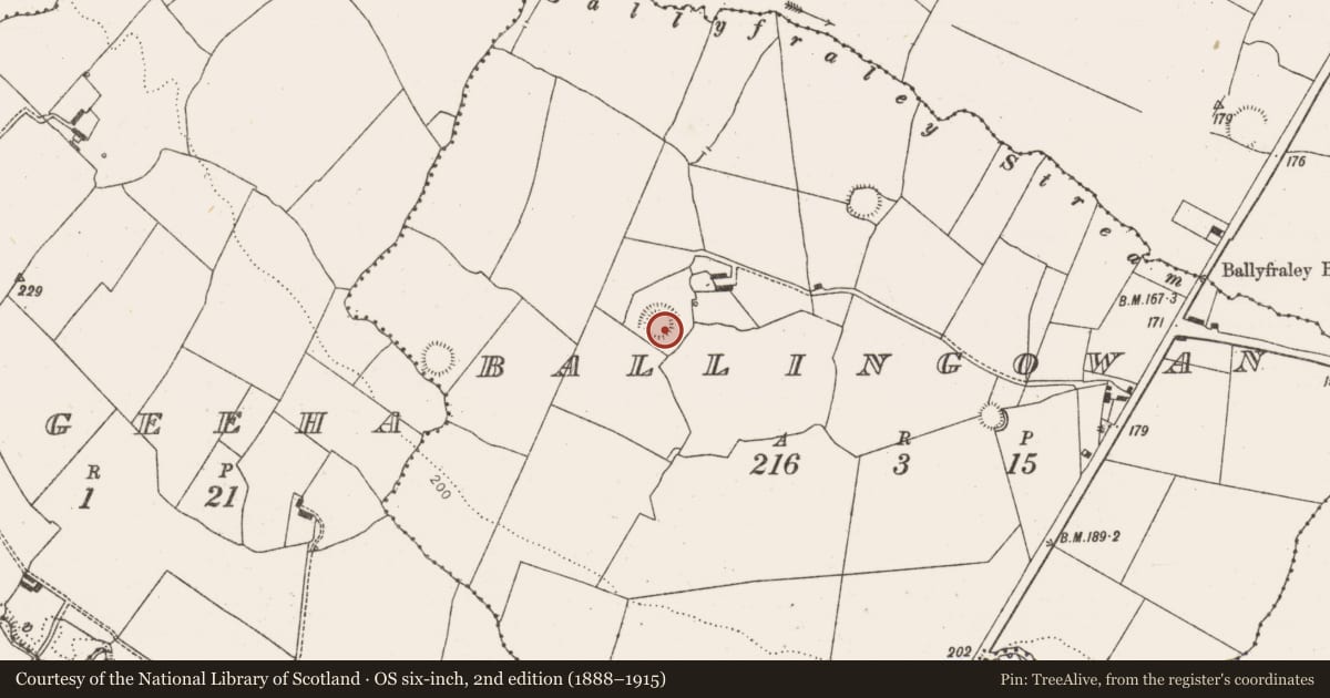 Ordnance Survey six-inch map, 2nd edition (1888–1915) covering the location of Ringfort - rath, Ballingowan, County Limerick, with a pin at the register's coordinates