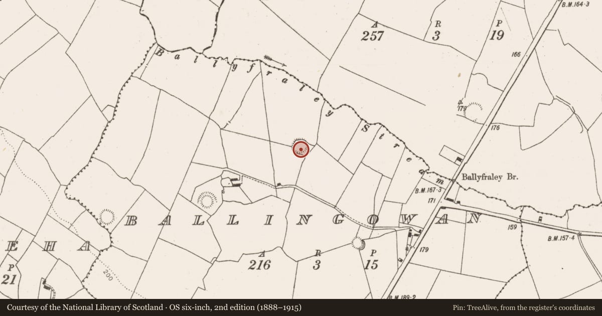 Ordnance Survey six-inch map, 2nd edition (1888–1915) covering the location of Ringfort - rath, Ballingowan, County Limerick, with a pin at the register's coordinates