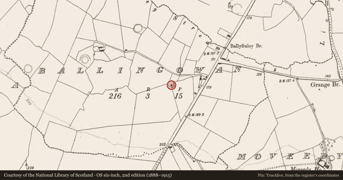 Ordnance Survey six-inch map, 2nd edition (1888–1915) covering the location of Ringfort - rath, Ballingowan, County Limerick, with a pin at the register's coordinates